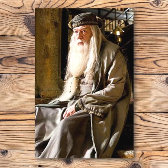 Harry Potter Professor Albus Dumbledore Refrigerator Locker‎ Fridge Magnet - Picture 1 of 2